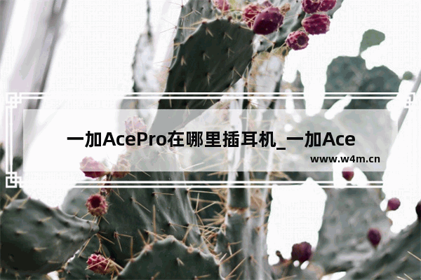 一加AcePro在哪里插耳机_一加AcePro耳机接口在哪