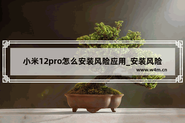 小米12pro怎么安装风险应用_安装风险应用教程