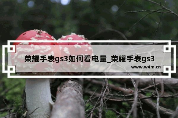 荣耀手表gs3如何看电量_荣耀手表gs3怎么看电量