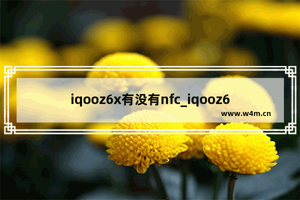 iqooz6x有没有nfc_iqooz6x支持nfc功能吗