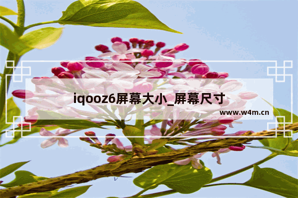 iqooz6屏幕大小_屏幕尺寸