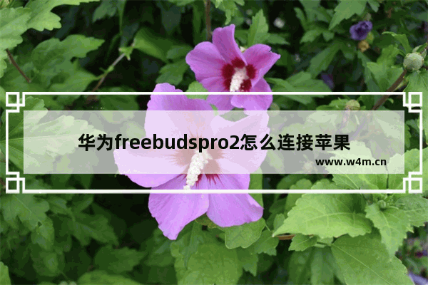 华为freebudspro2怎么连接苹果手机_如何连接iPhone