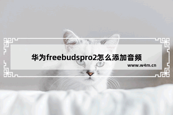 华为freebudspro2怎么添加音频服务卡片_音频服务卡片怎么设置