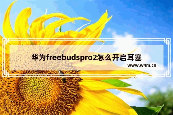 华为freebudspro2怎么开启耳塞贴合度检测_怎么检测耳机贴合度