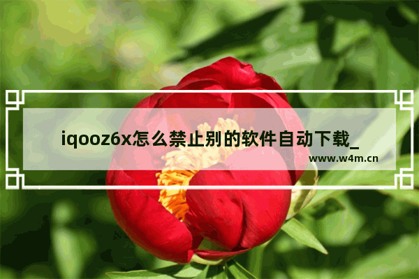 iqooz6x怎么禁止别的软件自动下载_iqooz6x怎么设置不自动安装软件