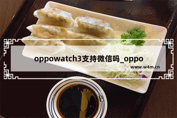 oppowatch3支持微信吗_oppowatch3可以微信聊天吗