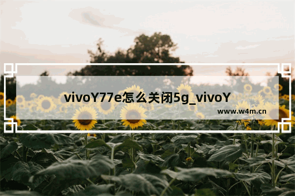 vivoY77e怎么关闭5g_vivoY77e在哪关闭5g