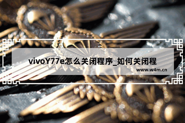 vivoY77e怎么关闭程序_如何关闭程序