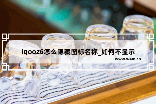 iqooz6怎么隐藏图标名称_如何不显示图标名称