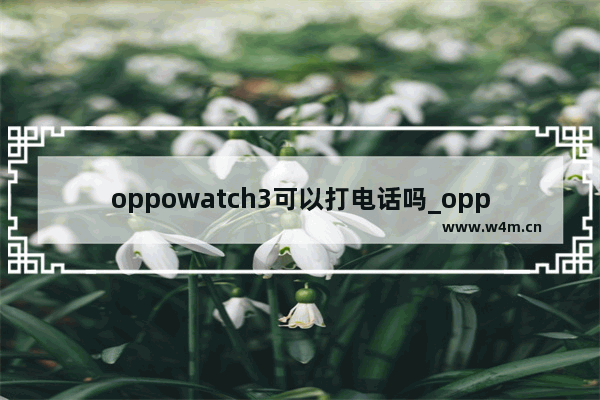 oppowatch3可以打电话吗_oppowatch3能打电话吗