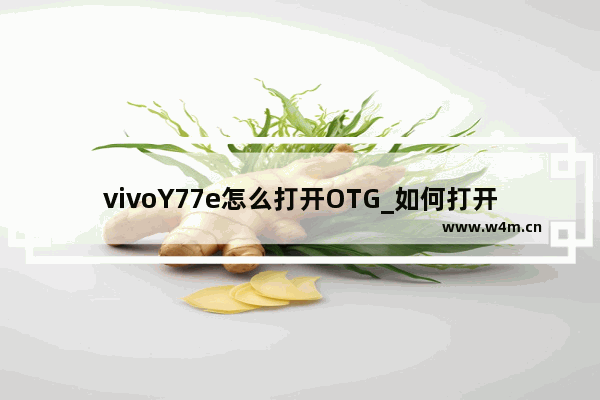 vivoY77e怎么打开OTG_如何打开OTG