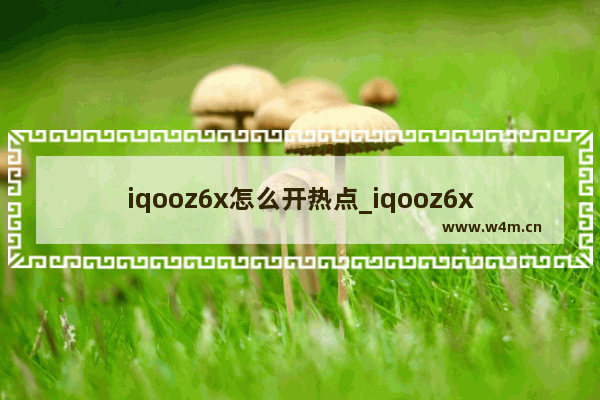 iqooz6x怎么开热点_iqooz6x热点怎么开