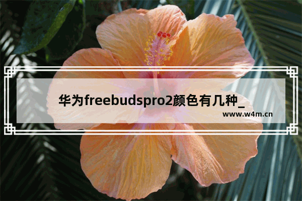 华为freebudspro2颜色有几种_耳机配色