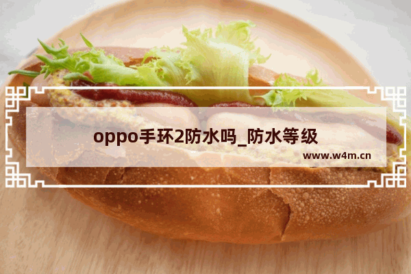 oppo手环2防水吗_防水等级