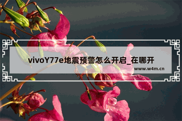 vivoY77e地震预警怎么开启_在哪开