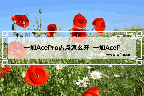 一加AcePro热点怎么开_一加AcePro怎么开热点