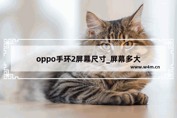 oppo手环2屏幕尺寸_屏幕多大