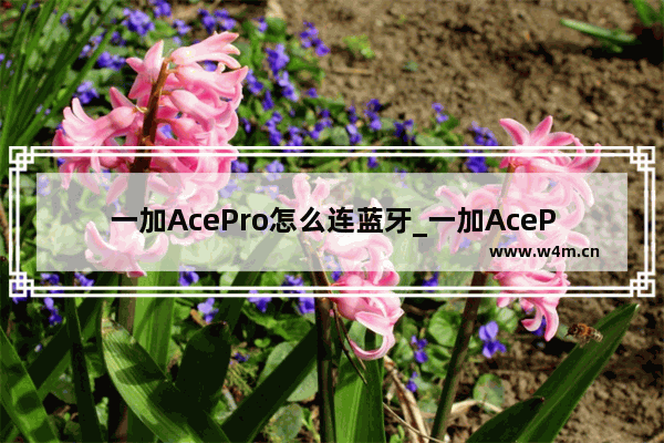 一加AcePro怎么连蓝牙_一加AcePro连接蓝牙耳机的方法