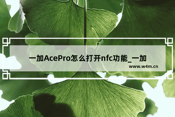 一加AcePro怎么打开nfc功能_一加手机怎么开启nfc