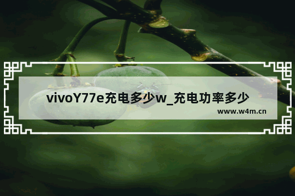 vivoY77e充电多少w_充电功率多少