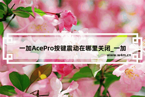 一加AcePro按键震动在哪里关闭_一加如何关闭按键震动