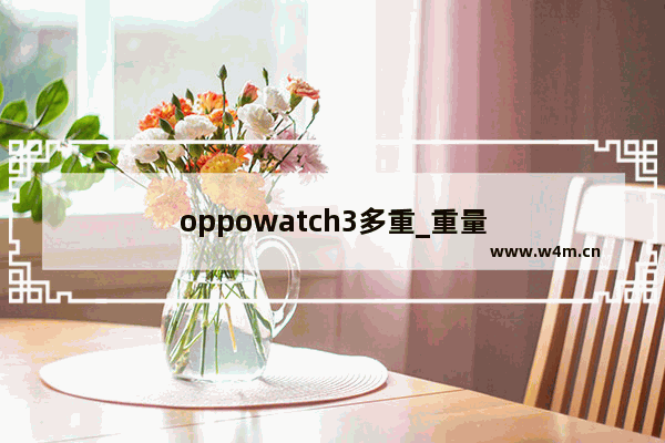 oppowatch3多重_重量