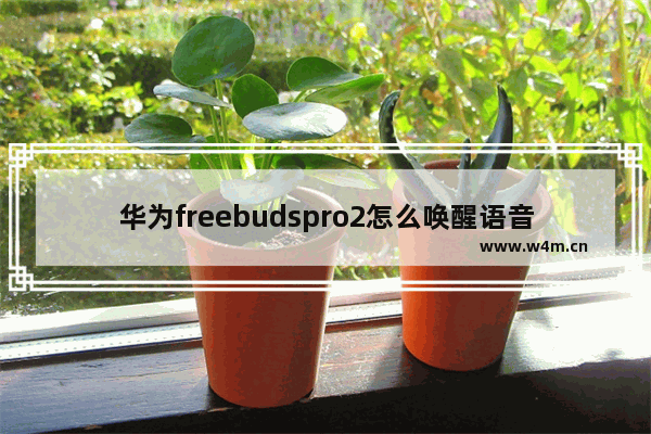 华为freebudspro2怎么唤醒语音助手_怎么唤醒小艺