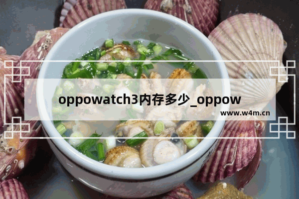 oppowatch3内存多少_oppowatch3内存多大