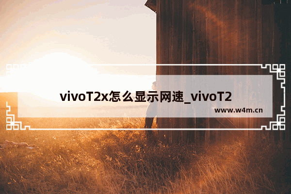 vivoT2x怎么显示网速_vivoT2x实时网速在哪里打开