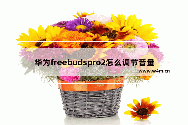 华为freebudspro2怎么调节音量_怎么控制音量