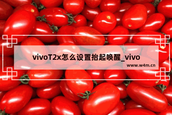 vivoT2x怎么设置抬起唤醒_vivo如何设置抬起唤醒