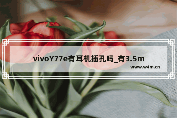 vivoY77e有耳机插孔吗_有3.5mm耳机插孔吗