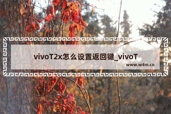 vivoT2x怎么设置返回键_vivoT2x怎么调返回键