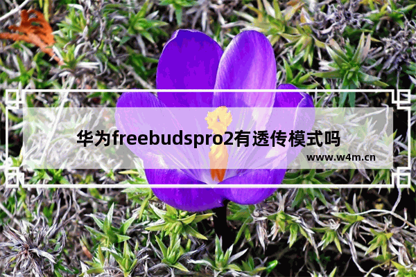 华为freebudspro2有透传模式吗_支持透传模式吗