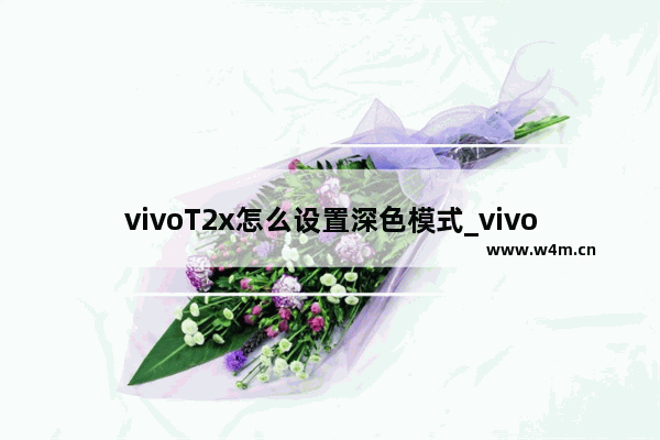 vivoT2x怎么设置深色模式_vivoT2x怎么调深色模式