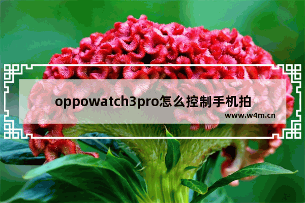 oppowatch3pro怎么控制手机拍照_oppowatch3pro如何控制拍照