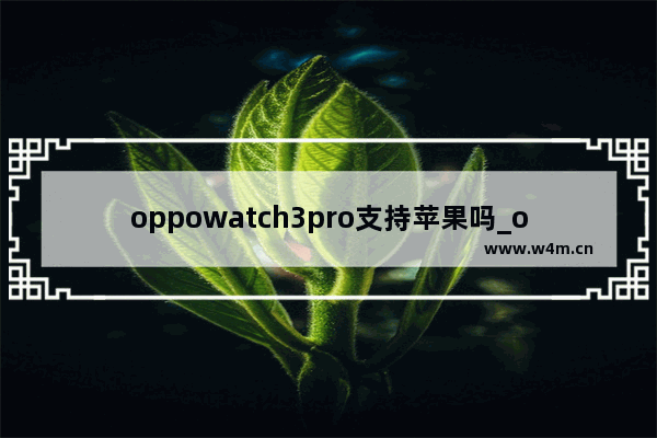 oppowatch3pro支持苹果吗_oppowatch3pro可以连接苹果手机吗