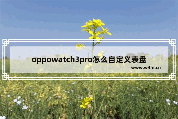 oppowatch3pro怎么自定义表盘_oppowatch3pro如何自定义表盘