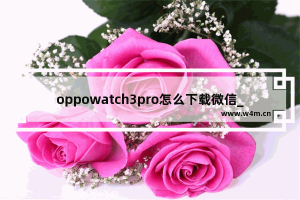 oppowatch3pro怎么下载微信_oppowatch3pro如何下载微信