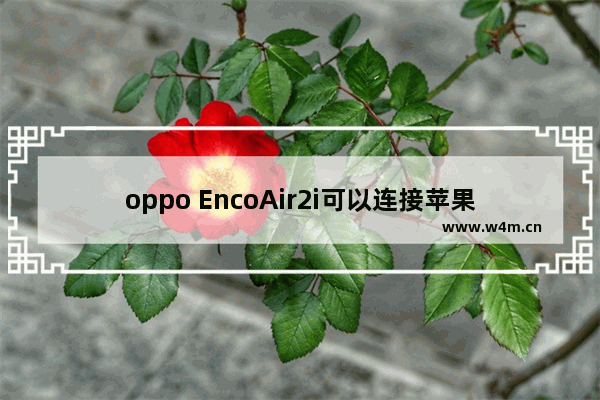 oppo EncoAir2i可以连接苹果吗_oppo EncoAir2i支持苹果吗