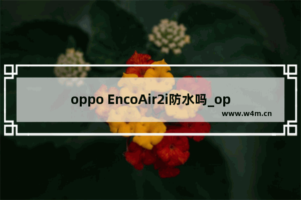 oppo EncoAir2i防水吗_oppo EncoAir2i支持防水吗