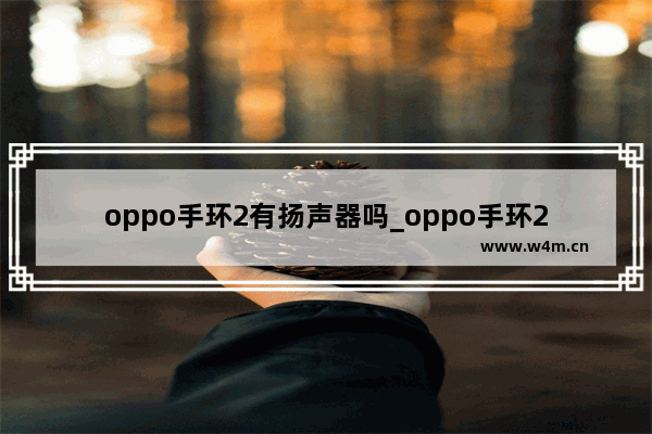 oppo手环2有扬声器吗_oppo手环2支持扬声器吗