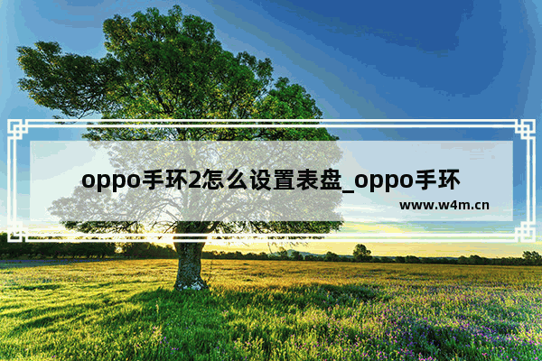 oppo手环2怎么设置表盘_oppo手环2如何设置表盘