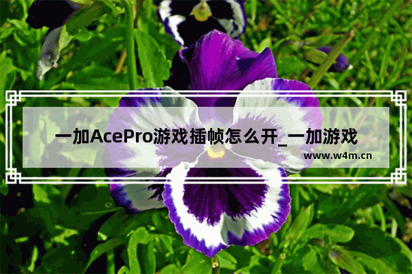 一加AcePro游戏插帧怎么开_一加游戏插帧教程