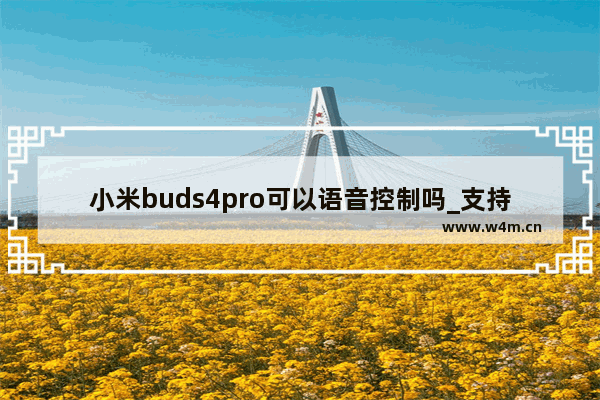 小米buds4pro可以语音控制吗_支持语音控制吗