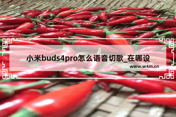 小米buds4pro怎么语音切歌_在哪设置语音切歌