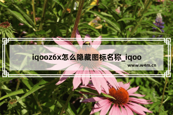 iqooz6x怎么隐藏图标名称_iqoo图标名称不显示怎么设置