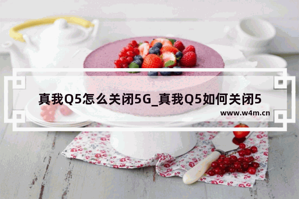 真我Q5怎么关闭5G_真我Q5如何关闭5G