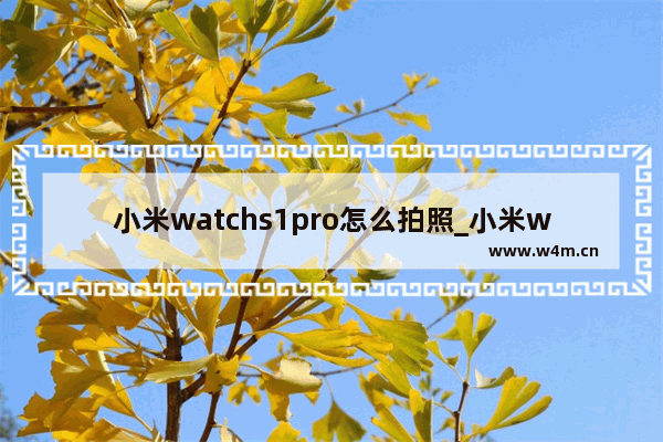 小米watchs1pro怎么拍照_小米watchs1pro照相功能怎么用