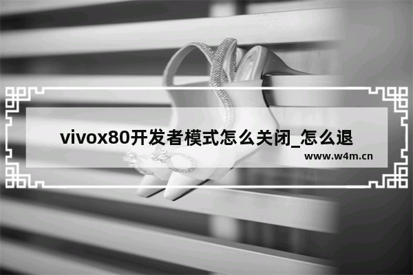 vivox80开发者模式怎么关闭_怎么退出开发者模式